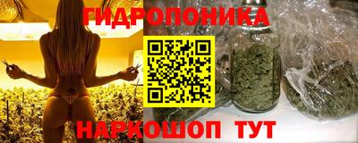 дмт Можайск